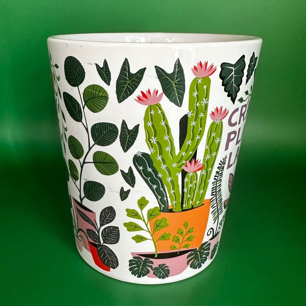 Cost Plus World Market | Dining | World Market Crazy Plant Lady ...